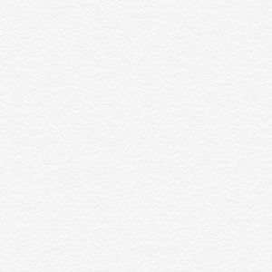 Meet your Posher, Nabiha